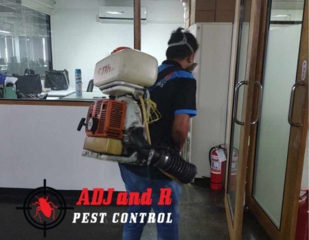 376267265_705181331626616_1804175158691466842_n