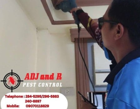 448803072_880127617465319_5662583169281824191_n