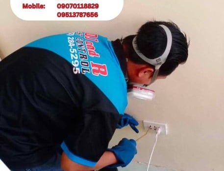 448890700_880126530798761_3033651731786935305_n