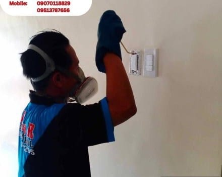 448891112_880126957465385_8359202130308216572_n