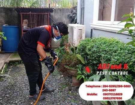 449780334_887979760013438_6149529072391888177_n