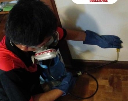 450669768_893013056176775_6734944215155648834_n