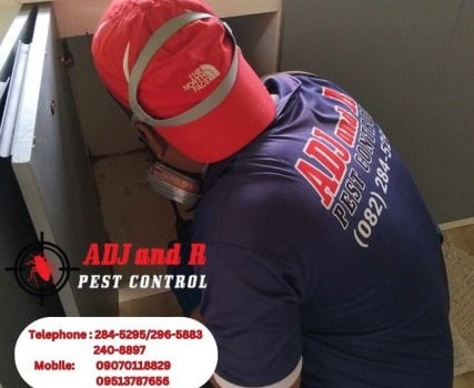 451418127_895627392582008_2978123970730718931_n