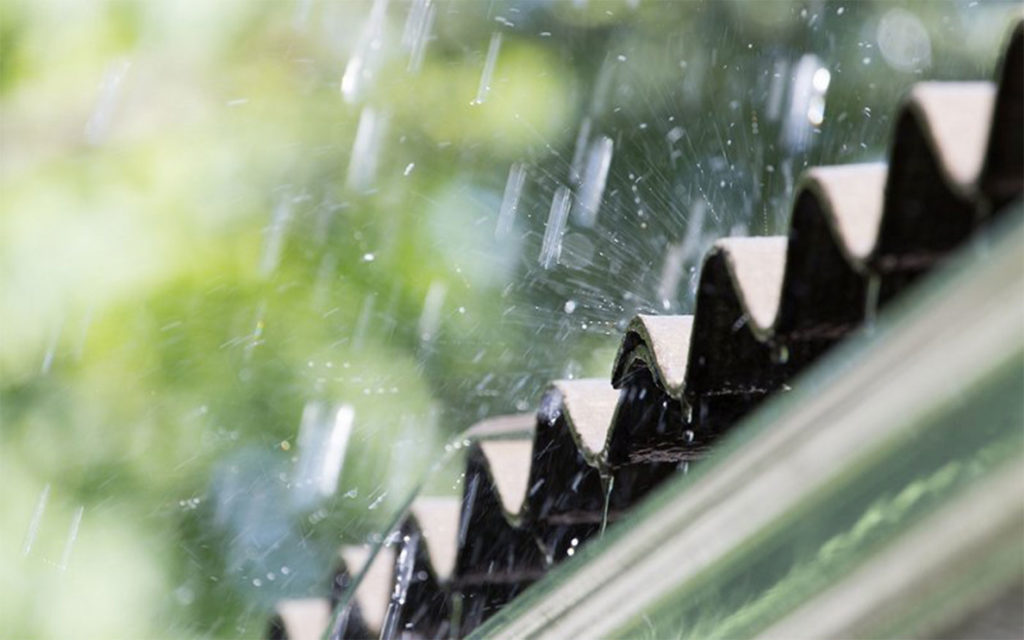 rain pest control davao - ADJ and R Pest Control Services in Davao City