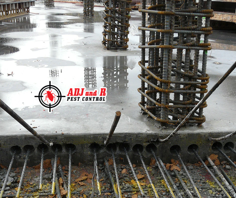 Pre-Treatment for New Constructions 1 Best Pest Control Davao City