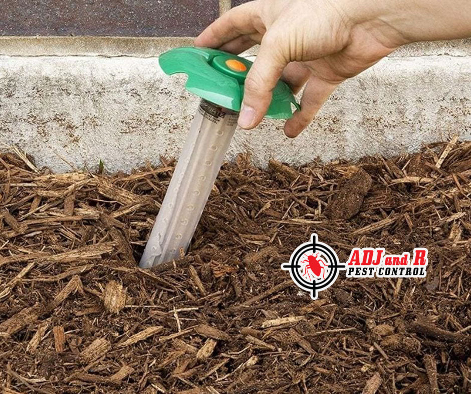 Best Pest Control in Davao City