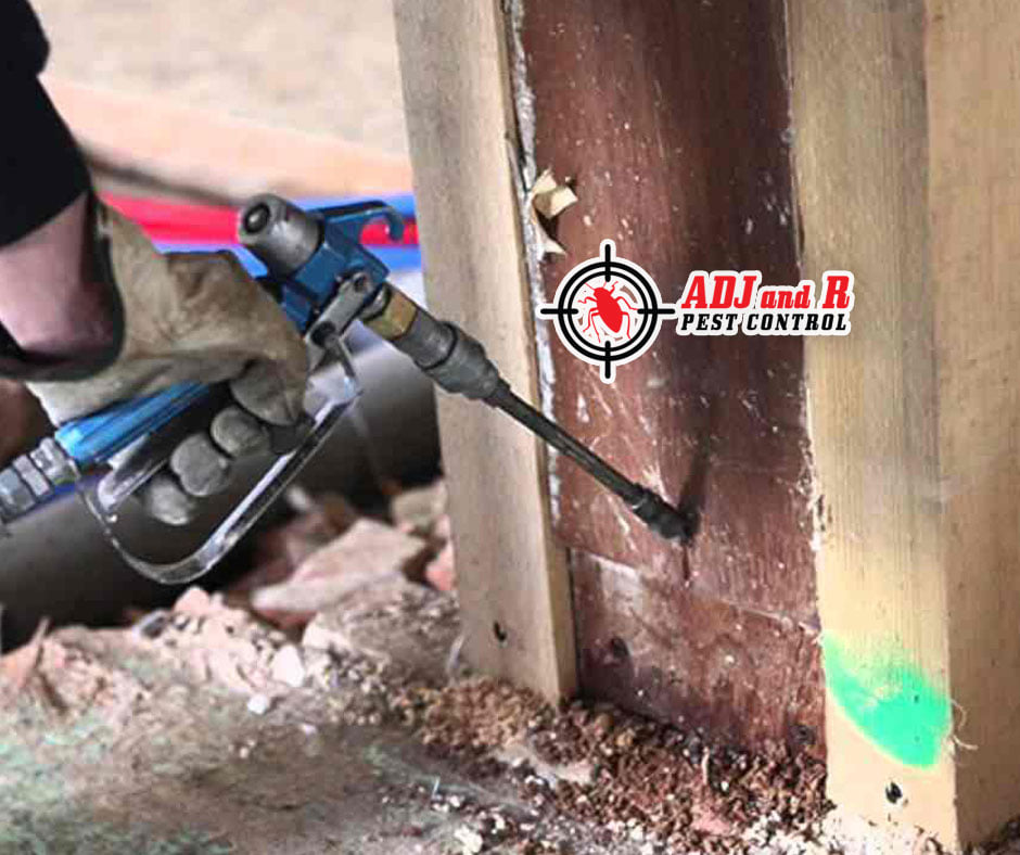 Termite damage is not only for houses made with wood 1 Best Pest Control in Davao