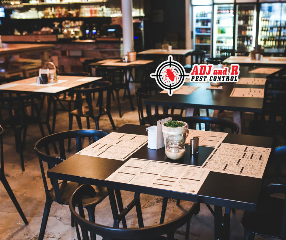 More than ever in a food business ... 1 Best Pest Control in Davao