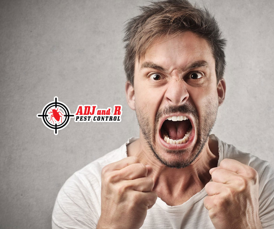 You can't stand them anymore, can you? 1 p59 - ADJ and R Pest Control Services in Davao City