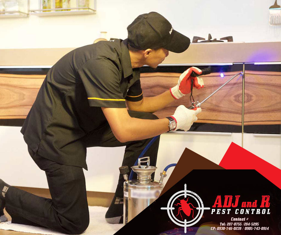 Eliminate, defend, and protect 1 p66 - ADJ and R Pest Control Services in Davao City