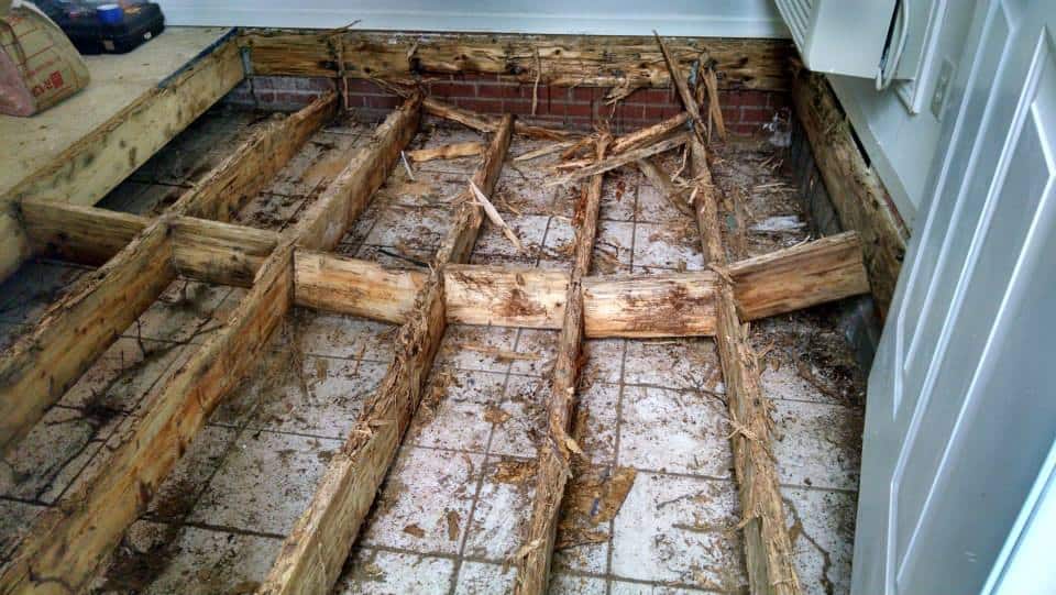 5 - ADJ and R Pest Control Services in Davao City