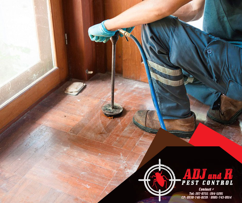 Every property is unique... 1 Best Pest Control