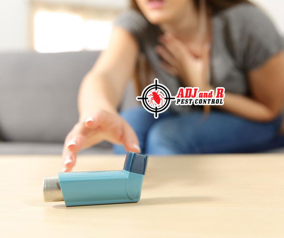 Termites are also not known to transmit... 1 best pest control in Davao