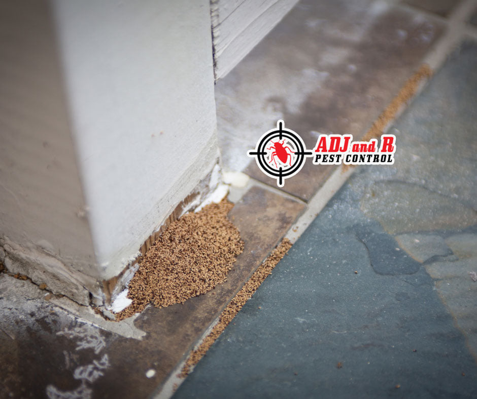 Have you noticed piles resembling... 1 best pest control in Davao