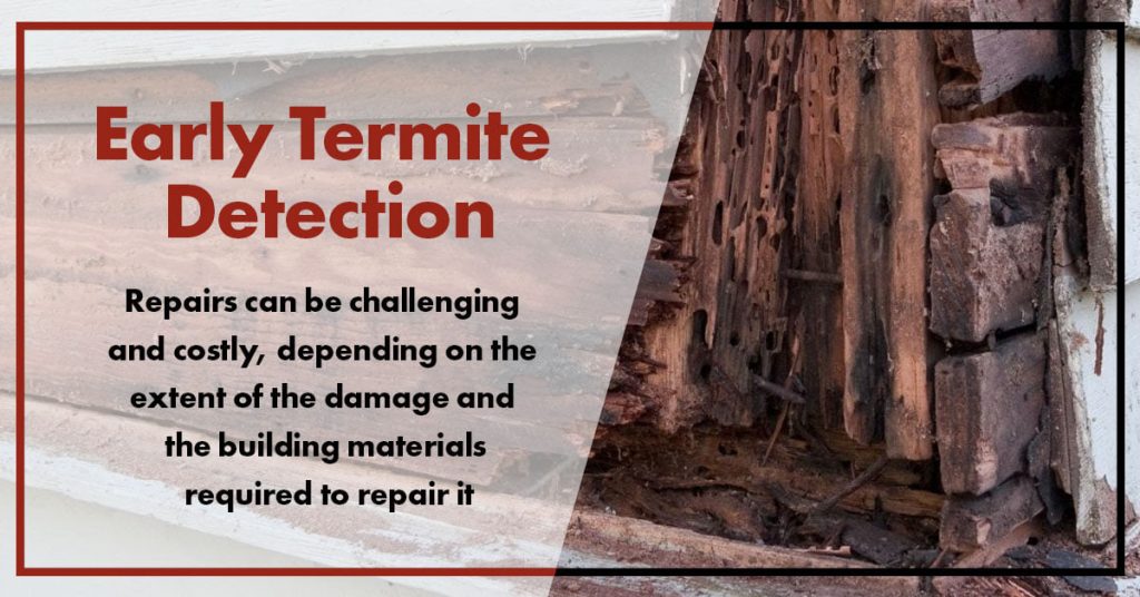 Repairs can be challenging and costly... 1 best pest control in Davao