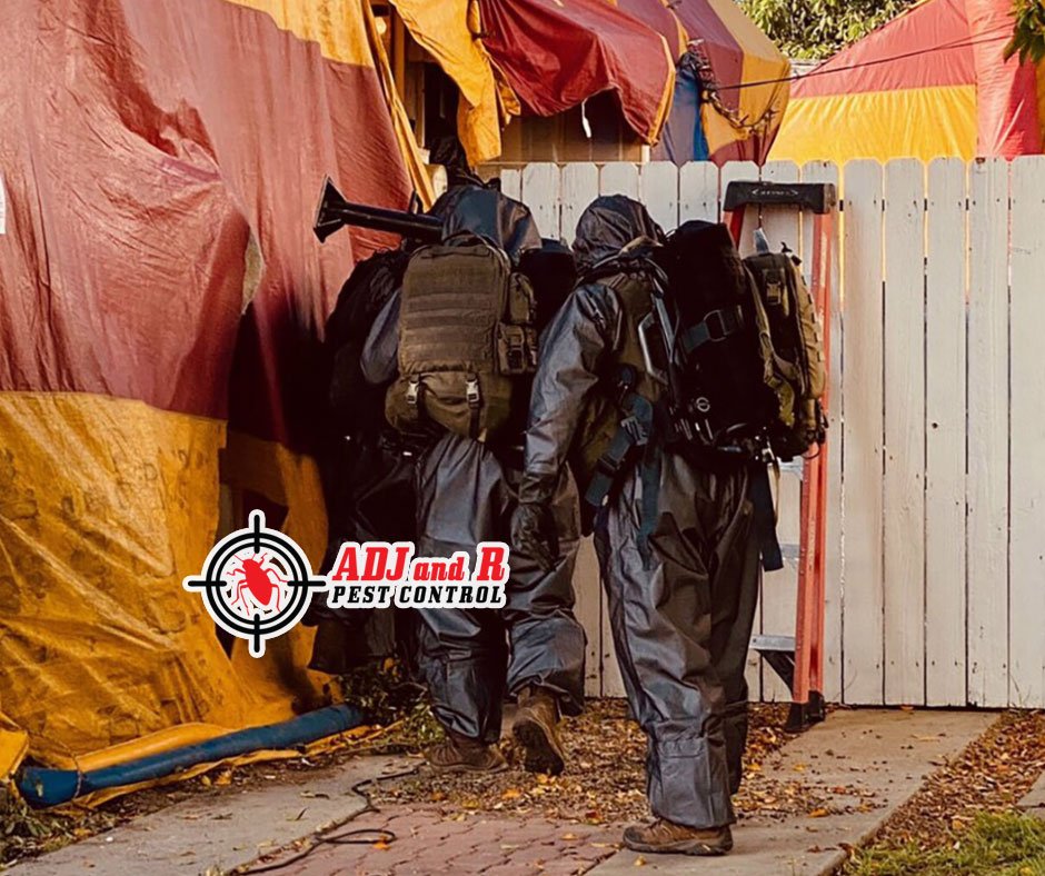 best pest control in Davao