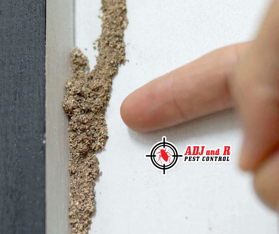 best pest control in Davao