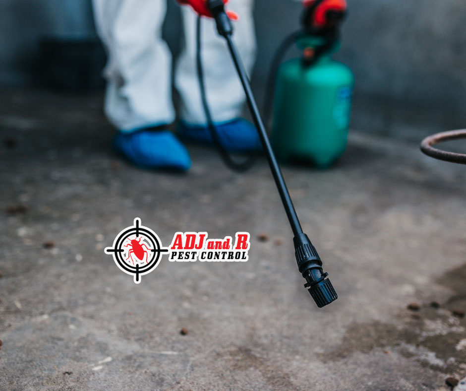 best pest control in Davao