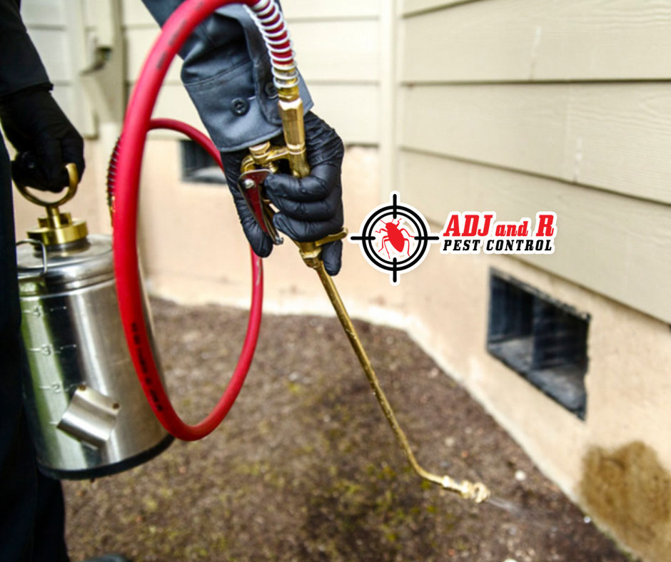 We offer quality termite control service with the most effective treatment methods 1 best pest control in Davao