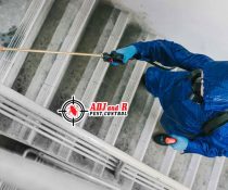 Need a reputable company to help you with all of your termite control needs?
