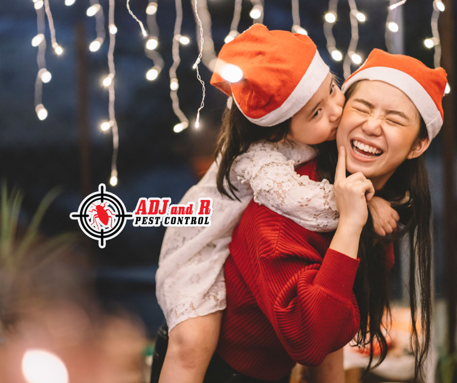 Don't let termites take over your Christmas excitements 1 best pest control in Davao