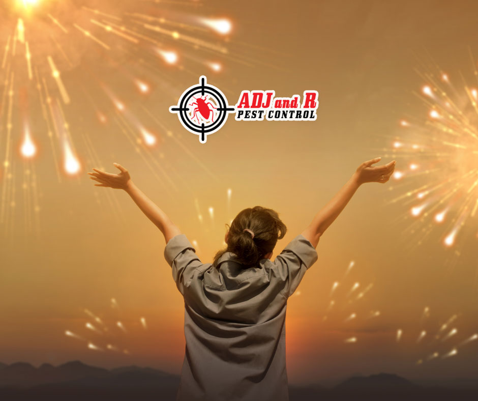 This new year, it’s time to give your home the protection it deserves. 1 best pest control in Davao