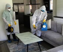 Tips To Keep Your House Termite Free in Davao