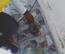 Professional Termite Pest Control in Davao: When to Call in the Experts