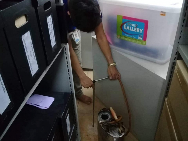 What is the best termite prevention system in Davao