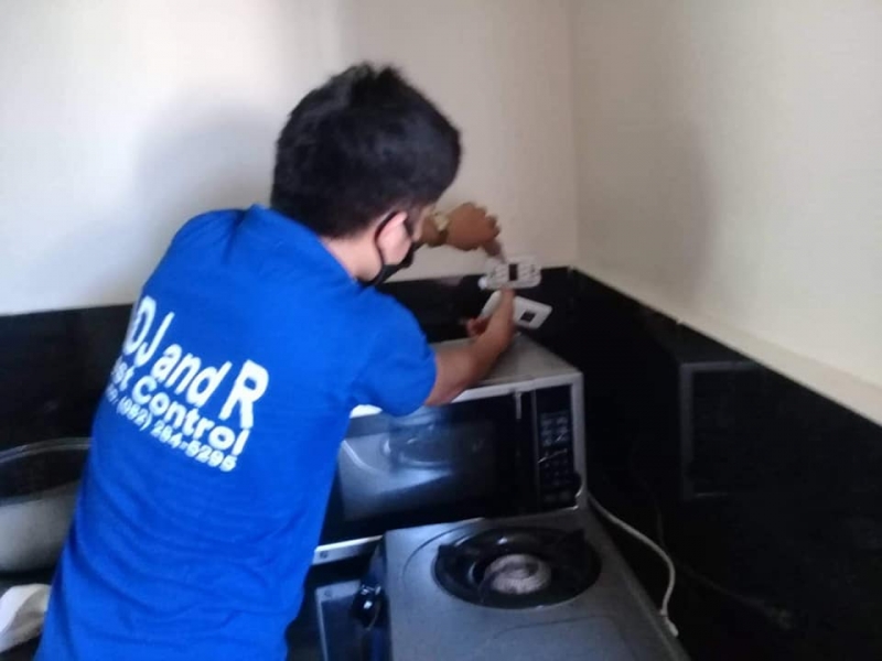 What are the things Termites Hate