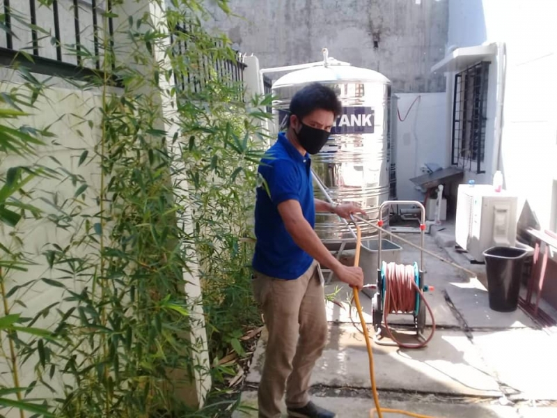 The Silent Destroyer: How to Protect Your Home from Termite Infestations in Davao City