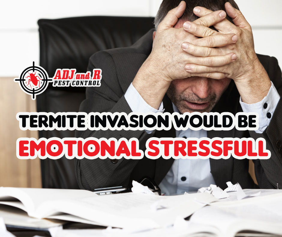 Dealing with a termite infestation can be emotionally draining 1 best pest control in Davao