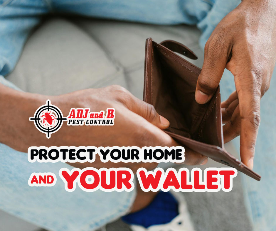 Termites can cause thousands of pesos in damage to your home. 1 best pest control in Davao