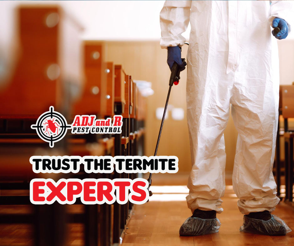 You can trust us to protect your home from termites. 1 best pest control in Davao