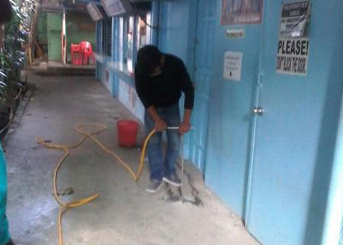 Termite Pest Control for Commercial Buildings in Davao: Challenges and Solutions 1 best pest control in Davao