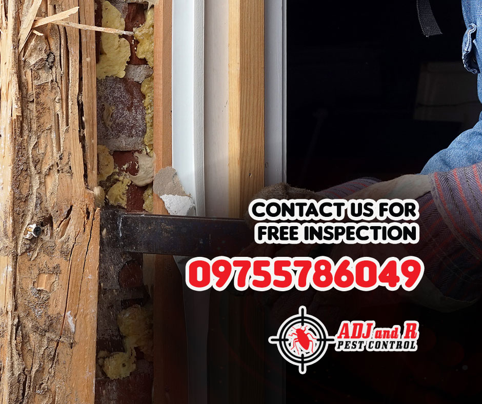 Say Goodbye to Termites / Anay! 1 best pest control in Davao