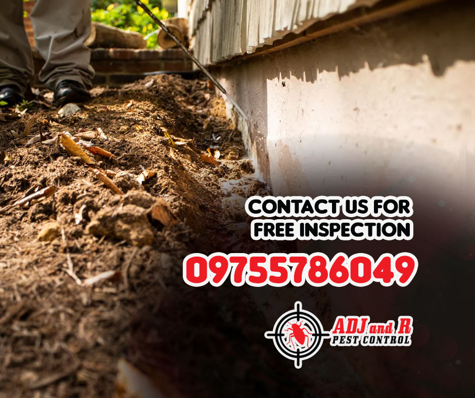 Tired of unwelcome guests at home or work? 1 best pest control in Davao