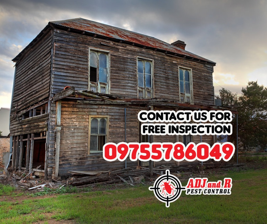 Don't let termites turn your dream home into a nightmare! 1 best pest control in Davao