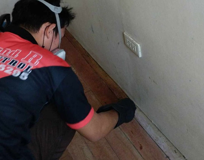 Cockroach Control 1 Cockroach Control