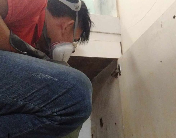 Cockroach Control 2 Cockroach Control