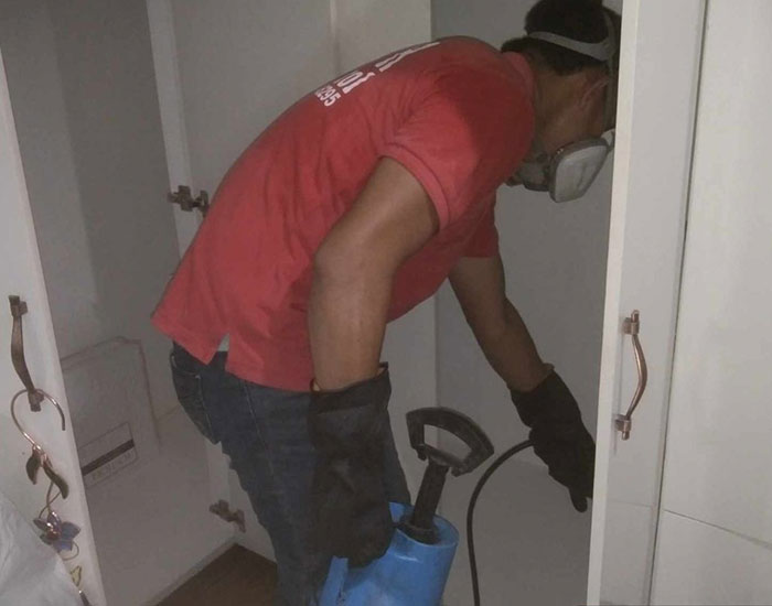 Cockroach Control 3 Cockroach Control