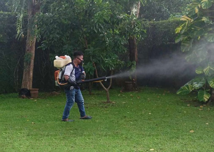 Professional Fumigation