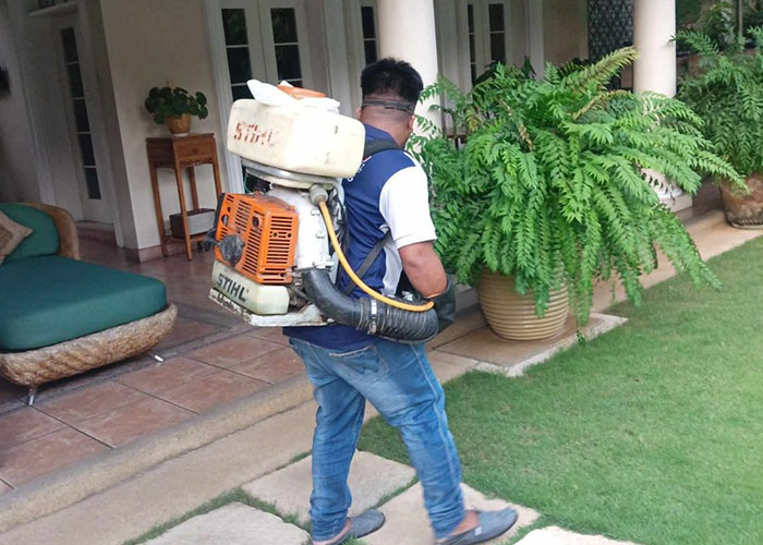 Professional Fumigation