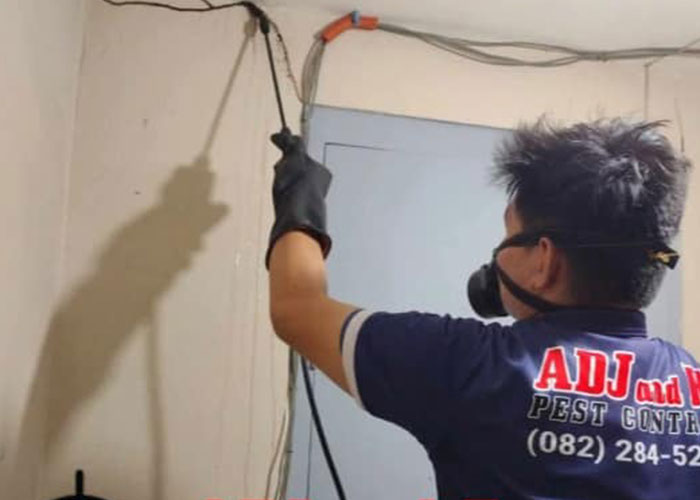 Termite Proofing 1 Termite Proofing