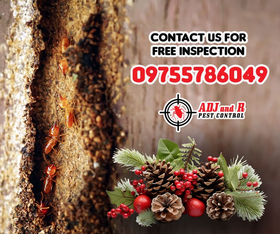 Yes, we're talking about TERMITES! 1 best pest control in Davao