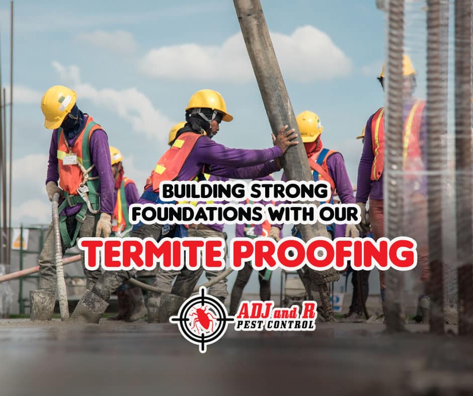 Prioritize the strength and durability of your build right from the start 1 best pest control in Davao