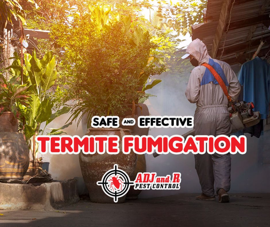 Fumigation is your knight in shining armor against these wood-munching villains. 1 best pest control in Davao