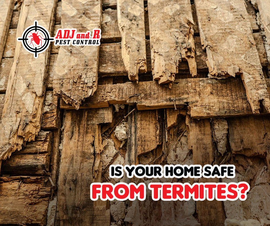 best pest control in Davao