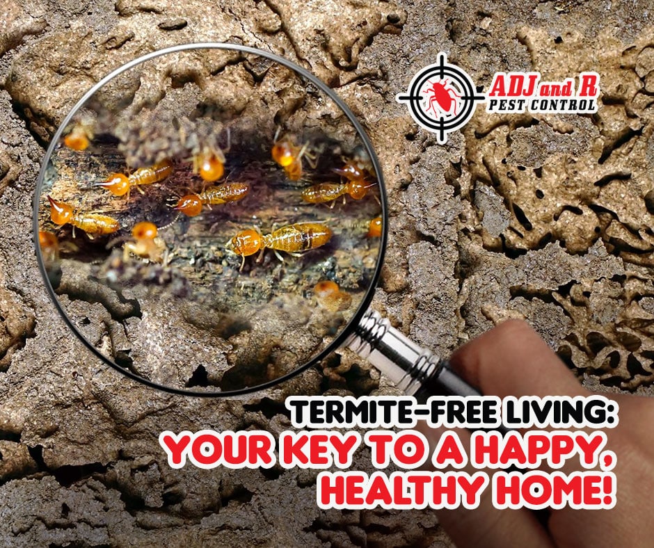 Embrace the sunny vibes, but don't let termites ruin the season! 1 best pest control in Davao