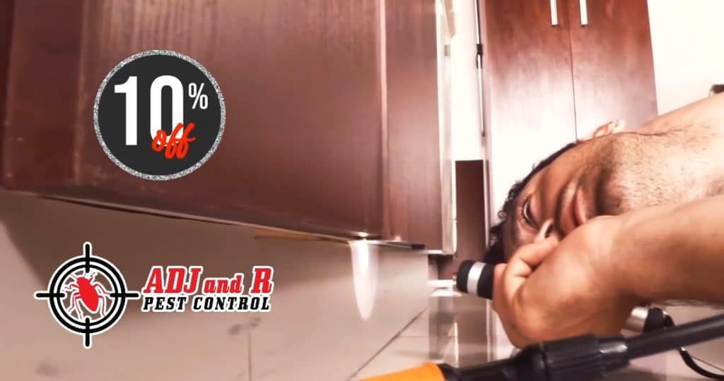 Say goodbye to those pesky termites and hello to peace of mind 1 best pest control in Davao